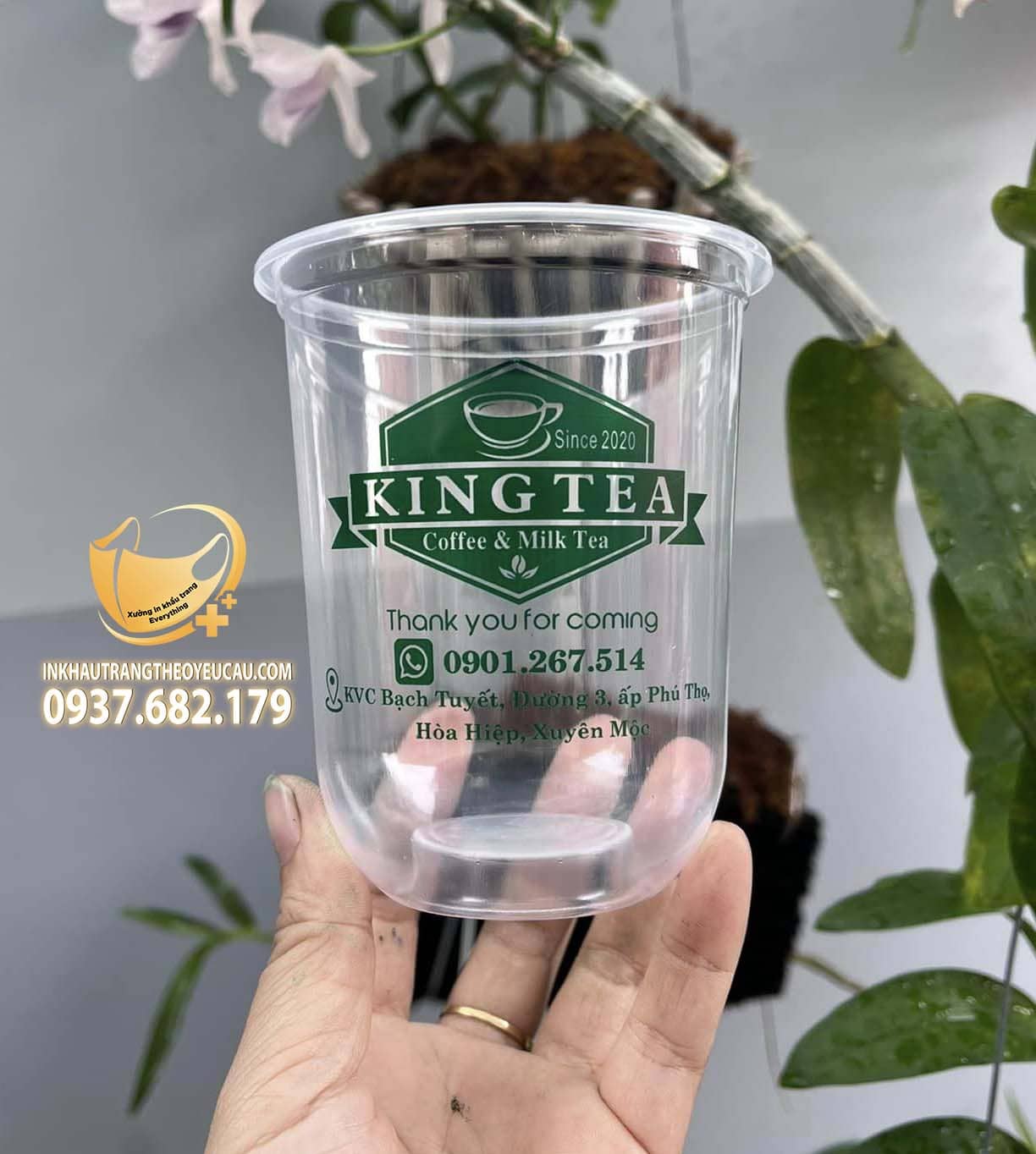 In ly nhựa đẹp giá rẻ Kingtea