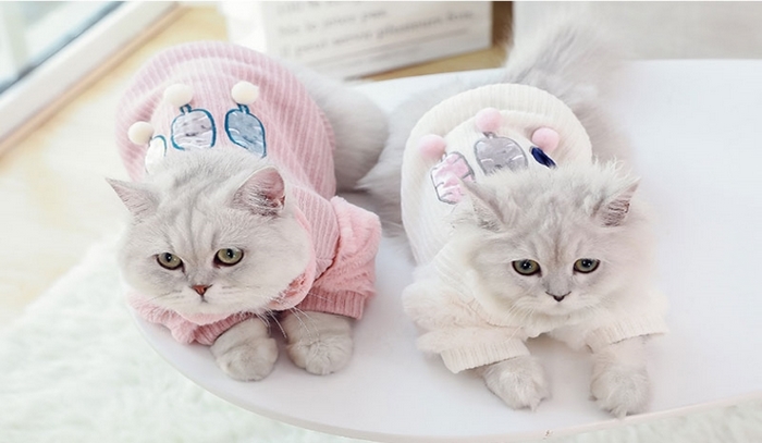 Xưởng may quần áo thú cưng cho phép bạn chủ động chọn chất liệu vải, kiểu dáng, kích thước,... phù hợp nhu cầu