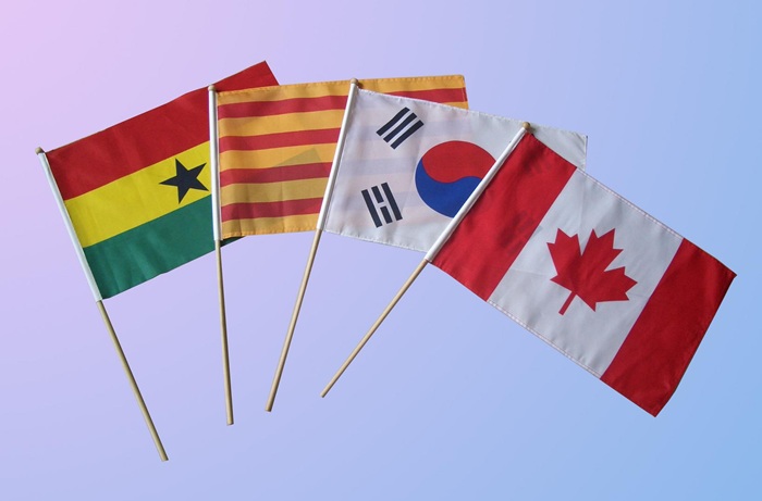 In Cờ Cầm Tay Lấy Liền Tại TP.HCM