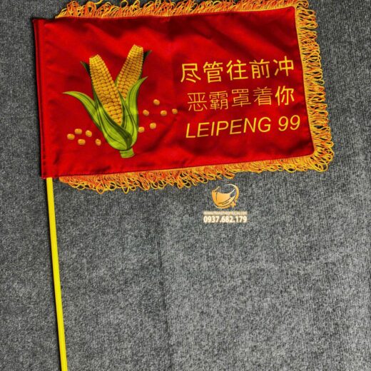 in cờ cầm tay dẫn đoàn Leipeng99